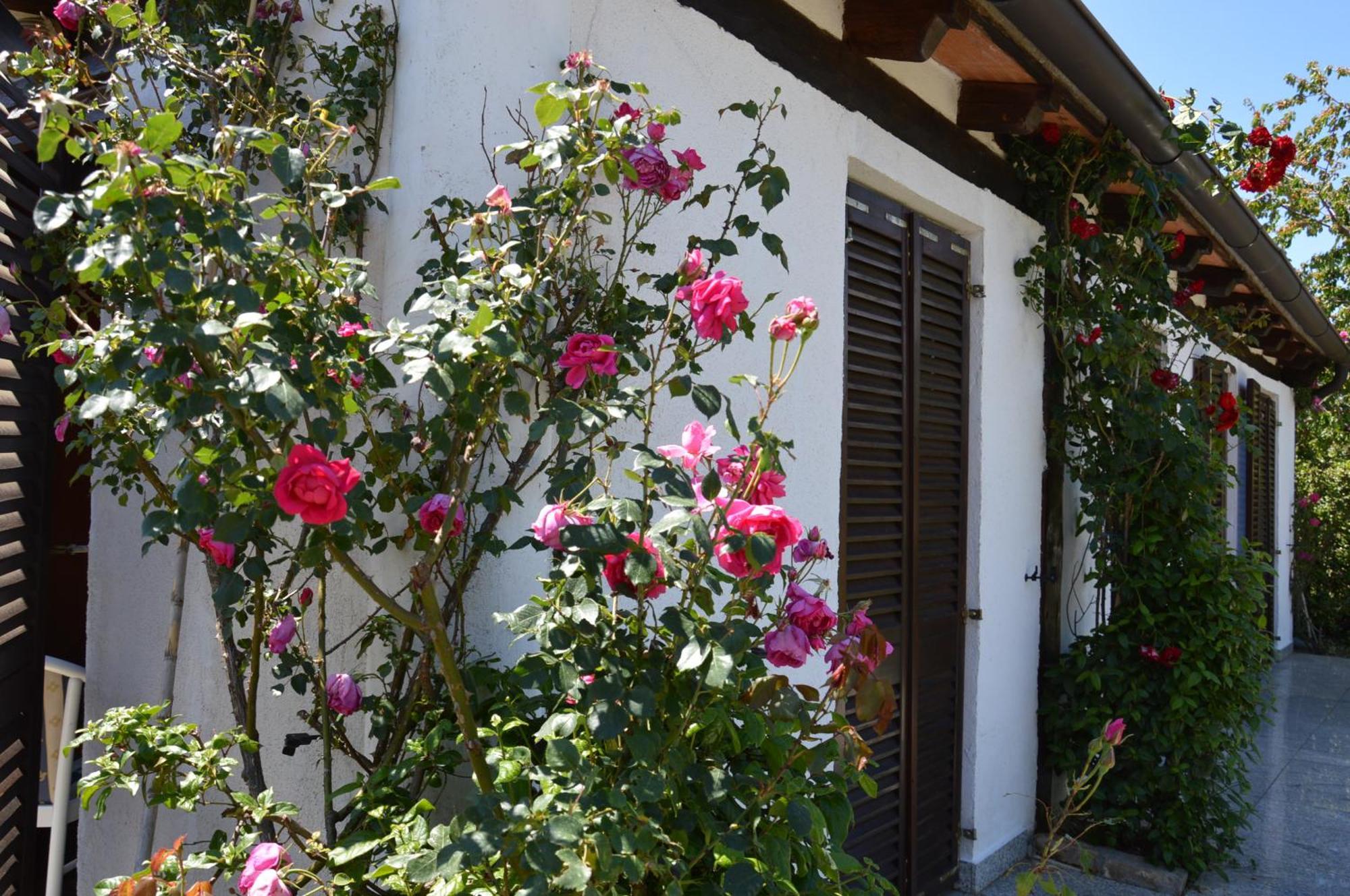 Residence Angiolina Nova Vas  Bagian luar foto